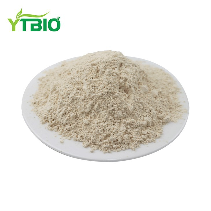 Hydrolyzed Vegetable Protein Powder